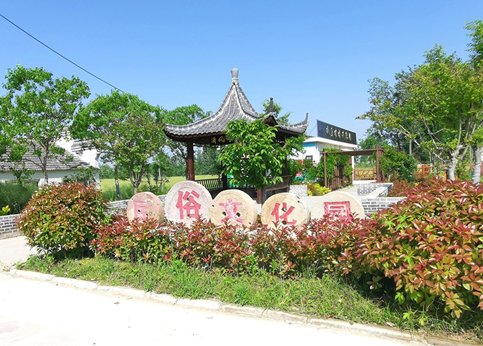 怀远县河溜镇:村规民约“小药方”乡村治理“有实效”