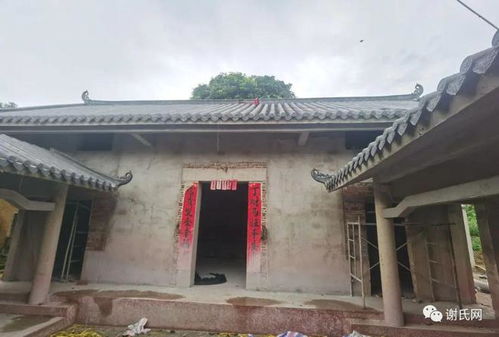 谢树安会长一行到广西灵山 谢屋 村考察指导旧州谢氏文化园建设