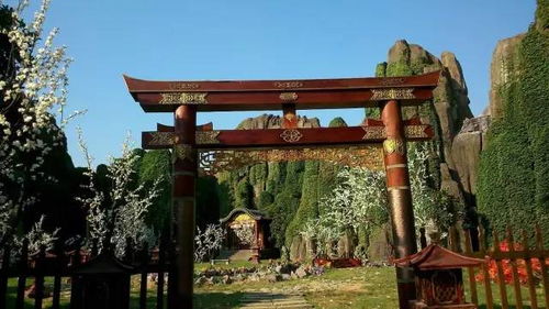 2017 最美中国娃 影视体验亲子夏令营开始报名啦