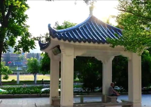 省里点名了 来这三条线路寻找珠海历史文化