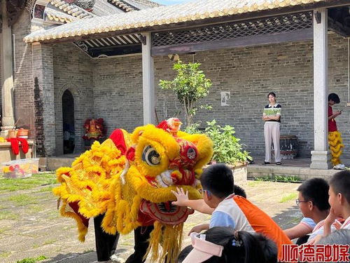 探秘藏在顺德的 桃花源 ,唤醒古建旧时记忆