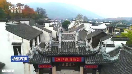 祠堂文化百年传承,家风即民风,大家族久经不衰的秘诀