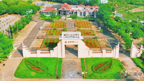 早安云南丨高黎贡国际精品咖啡文化园,赴一场与咖啡的浓情邂逅