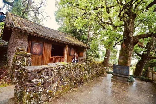 四天三夜打卡泰顺廊氡国家级旅游度假区,感受古廊桥与氡泉的魅力