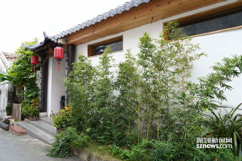 颜值品质双提升，光明最美巷里让幸福生活触手可及——宗祠文化园的华彩嬗变