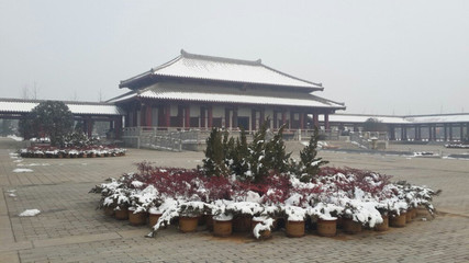 清冷的中原雪·华岳青晨